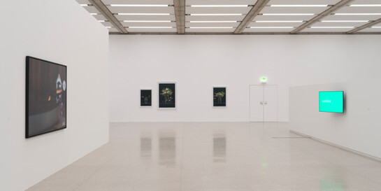 Martin Beck, Exhibition view. Courtesy of Mumok 