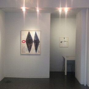 Steve Greene, Exhibition view. Courtesy of Frosch&portmann