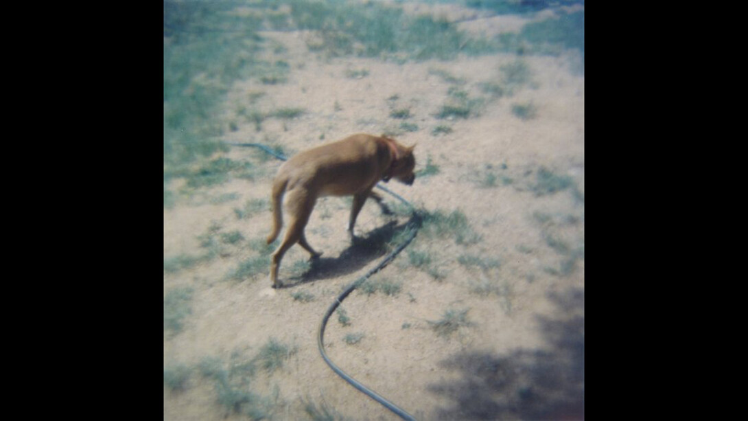 Amy Blakemore & Edgar Leciejewsk. Courtesy of Museum der bildenden Künste Leipzig