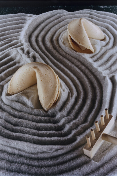 Torbjørn Rødland, Zen. 2014. Chromogenic print, 29.92 x 23.62 inches; 76 x 60 cm (detail)