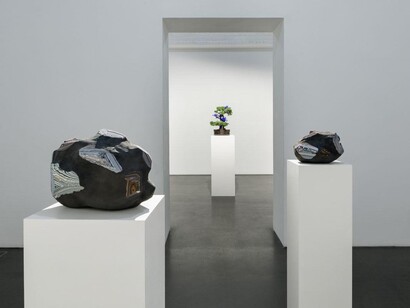 Agnieszka Kurant, Variantology, vista della mostra. Cortesia di Lia Rumma Gallery