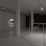 Regina José Galindo, Glass ceiling, exhibition view. Courtesy of ADN Galeria. Photo by Roberto Ruiz