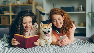 Passando pelos familiares e igualmente ficcionais Biruta (Lygia Fagundes Telles), Bruno Lichtenstein (Rubem Braga), Firififi (Dalton Trevisan), Garm (o cão falante de J. R. R. Tolkien no “Farmers Giles of Ham”), Japir (José de Alencar), Madrugada (Orígenes Lessa), Mila (Carlos Heitor Cony), Perigo (Domingos Pellegrini), Pingo-de-ouro (Guimarães Rosa), Plutão (Olavo Bilac), Quincas Borba (Machado de Assis), Samba (Maria José Dupré), Tentação (Clarice Lispector), Toto (de Dorothy, n’O Mágico de Oz), Tusca (Marina Colasanti), Uno (Walcir Carrasco), Veludo (Luiz Guimarães), Zig (Rubem Braga) e os da BD Milu (de Tintim), Idéiafix (de Obélix), até aos reais de Arthur Schopenhauer (Butz), Clarice Lispector (Ulisses), Dorothy Parker (Misty), John Steinbeck (Charley), Stephen King (Marlowe), Virginia Woolf (Pinka), até aos celebrizados pelo cinema. No conjunto, são uma espécie heterogénea que vai emergindo de uma vasta, genológica e modalizadamente diversa literatura, da épica à BD