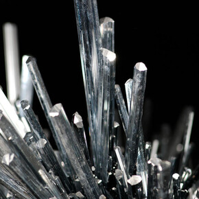 Grand Gallery. Courtesy of American Museum of Natural History