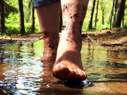 Camminare a piedi nudi nella foresta