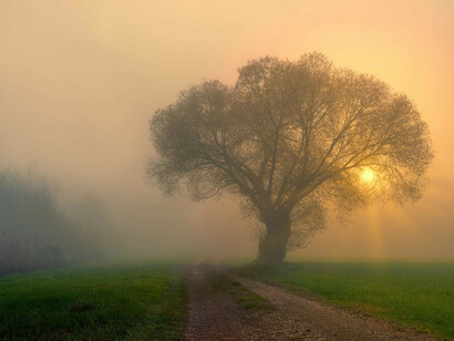 "Perduto sarebbe il tempo in cui non avessimo vissuto da uomini"