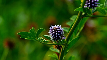 Lisa si lascia cadere sul divano, sfinita, e scopre che anche la seduta è rigida come la sua giornata