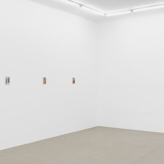 Lin Olschowka, Brother wolf, exhibition view. Courtesy of Meyer Riegger