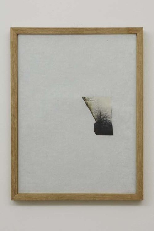 Sophie Ko Chkheidze, Waldgänger, 2013, 37 x 28 cm