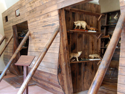 The Earth between myth and science. Courtesy of Museo di Storia Naturale