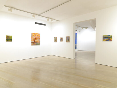 Sammi Lynch, Spotlight, exhibition view. Courtesy of Annely Juda Fine Art