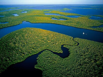 Los Everglades de Florida
