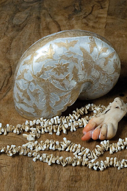 Historical Gallery. Courtesy of Museo di Storia Naturale