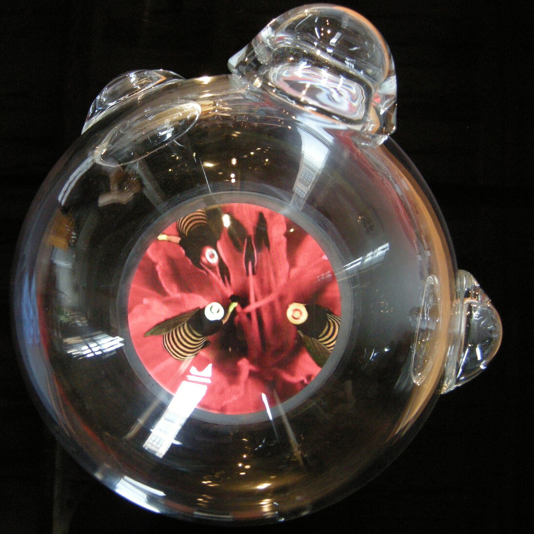 Katja Loher, ¿Por qué no creamos mas espacios para mariposas? Two-channel video composition: 6:44min, looped, Self-contained video-sculpture; acrylic hemispheres, videoscreen embedded in wooden white finished case, 30.5 x 43 X 15 inches