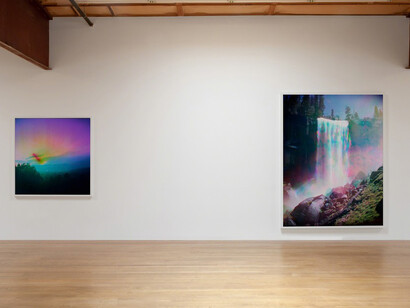 The Limits of Control. Courtesy of Blum & Poe Gallery