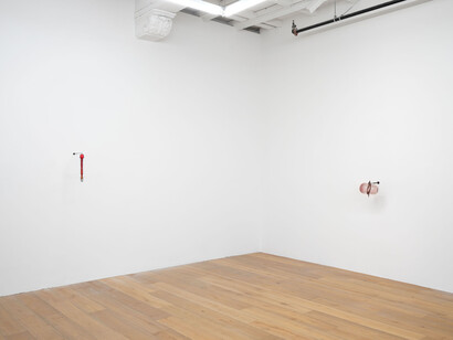 Sula Bermudez-Silverman, Mole, mold, molt, exhibition view. Courtesy of Hannah Hoffman Gallery