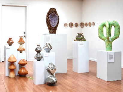 Entangled roots and floating forms, solo exhibition, 2026. Courtesy of the artist