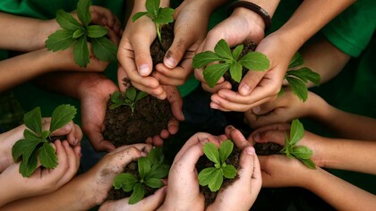 Save our planet one plant at a time, planting trees together