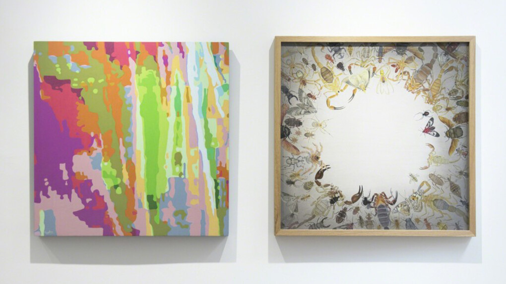 Around Us. Courtesy of Kate Oh Gallery