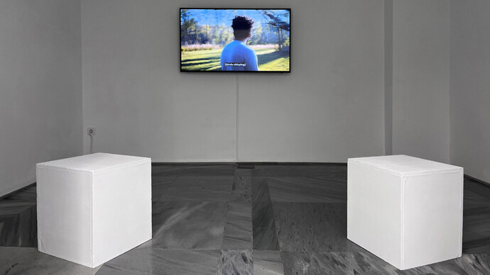 Donna Conlon, Listen to the hummingbird, exhibition view. Courtesy of Galería Espacio Mínimo