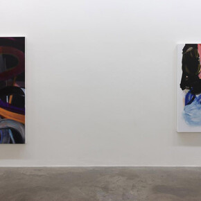 Liliane Tomasko. Courtesy of Kerlin Gallery