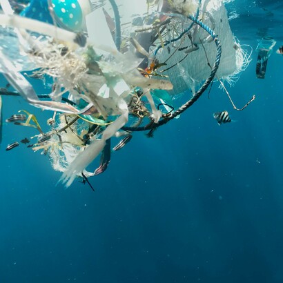 How can we deal with habitat destruction and poisoning of our water resources?