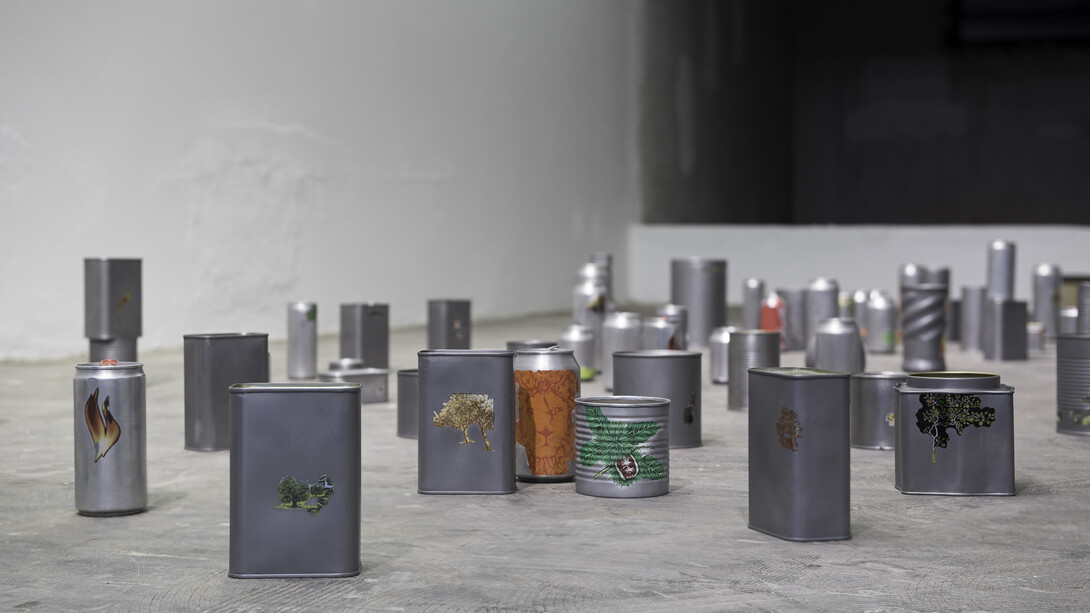 Tonico Lemos Auad, Small Fires, 2015