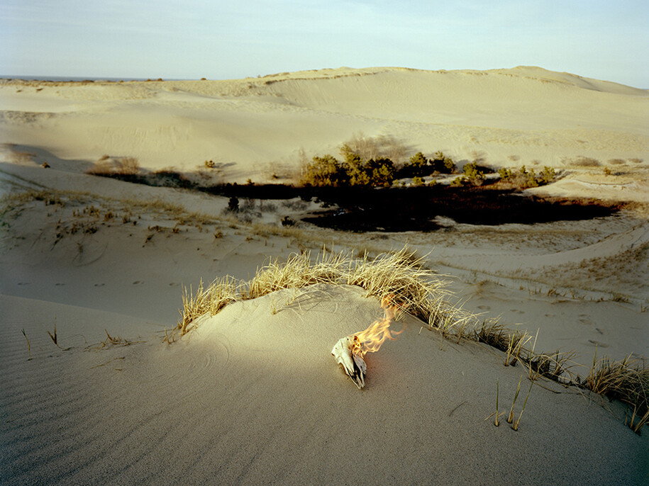 Copyright Adam Ekberg, Burning skull, 2014, Signed and numbered, verso, Archival pigment print, Courtesy of ClampArt, New York City.