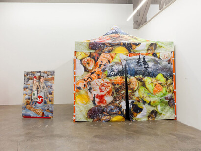 Sheida Soleimani. Courtesy of Atlanta Contemporary