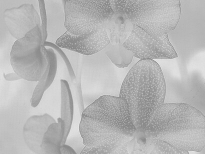 Pierre-Olivier ARNAUD, Sans titre, 2011, © Pierre-Olivier Arnaud, collection frac île-de-france