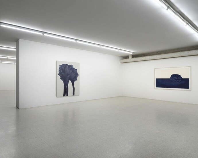 Luisa Rabbia. Courtesy of Collezione Maramotti