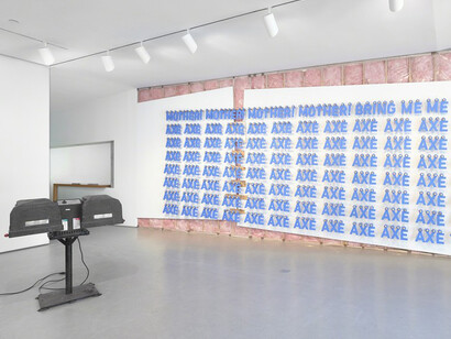 Sean Shim-Boyle. Courtesy of Jane Lombard Gallery