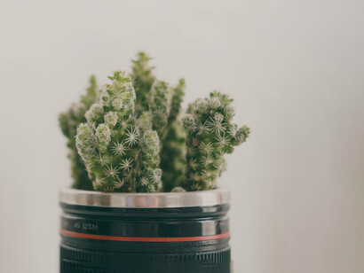 La cultura de lo desechable nos arrastra a consumir con rapidez, dejando tras de sí un vacío ambiental y emocional