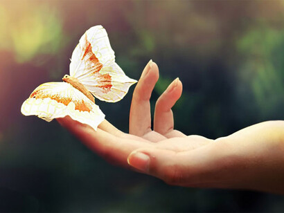 Vivere la vita come desideri   