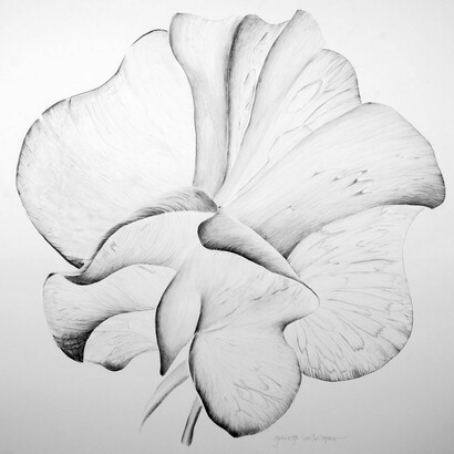 Gráinne Cuffe, Graphite on Sommerset, 106 x 102 cm. Courtesy of Graphic Studio Gallery