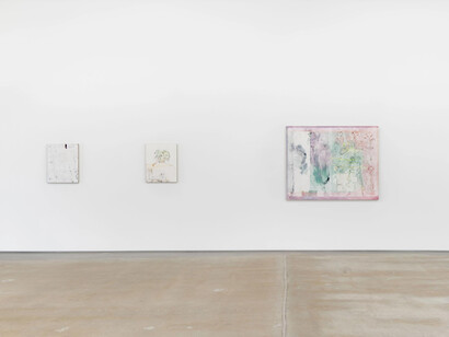 Van Hanos, Psychic death, exhibition view. Courtesy of Chateau Shatto