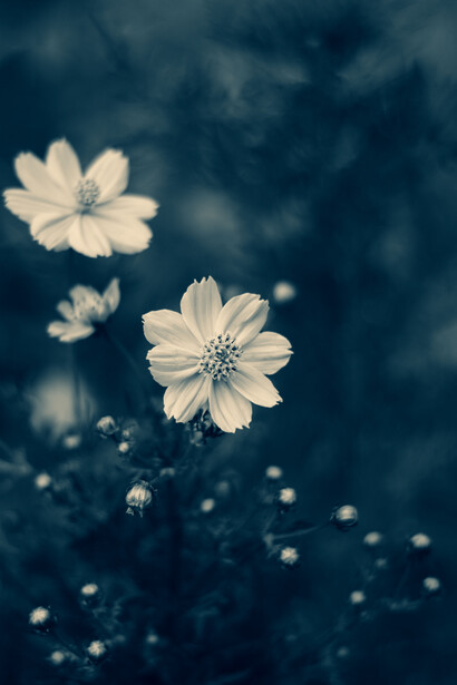 Practicar el agradecimiento permite desplazar la atención de la carencia hacia lo que ya está presente, generando mayor calma emocional