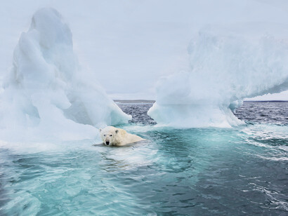A partir del deshielo del casquete norte se desencadenarán mayores emisiones de gases de efecto invernadero