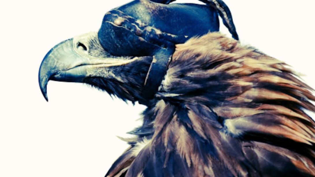 Lyle Owerko, Eagle Hunter 1, 2015. Courtesy of Joseph Gross Gallery