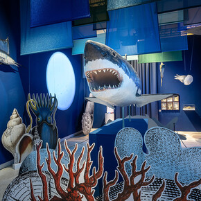 Elogio della diversità. Viaggio negli ecosistemi italiani, vista della mostra. Con la gentile concessione del Palazzo Esposizioni Roma