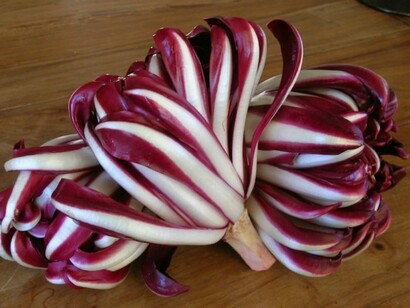 A crispy Radicchio