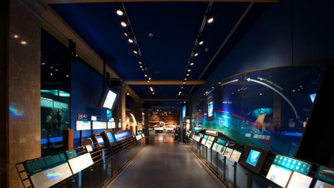 Gottesman Hall of Planet Earth. Courtesy of American Museum of Natural History