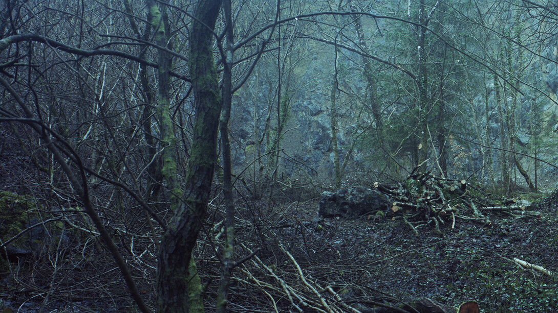 Richard Billingham