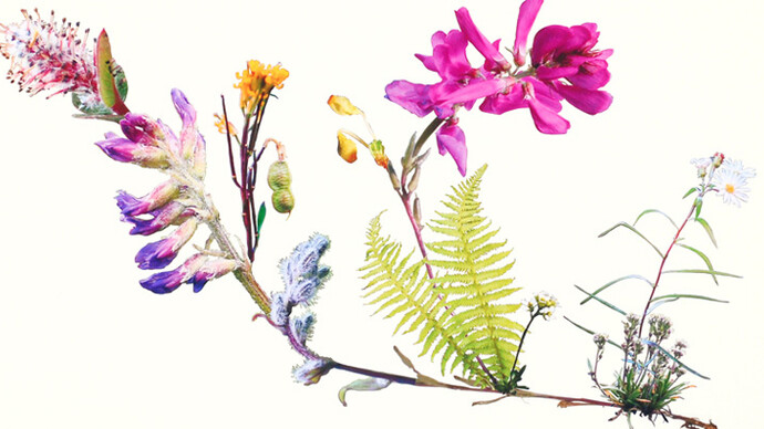 Jennifer Wanner. Second Nature. Courtesy of Glenbow