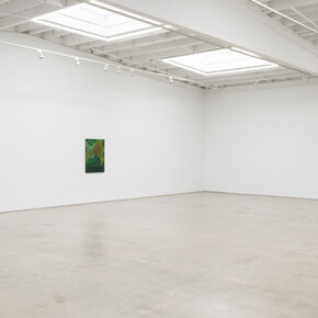 Randy Wray, Hothouse, exhibition view. Courtesy of Karma Gallery