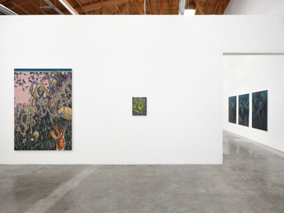 From the cloud by László von Dohnányi and Preslav Kostov, installation view of the exhibition at Baert Gallery. Courtesy of the artists and Baert Gallery. Photo by Paul Salveson