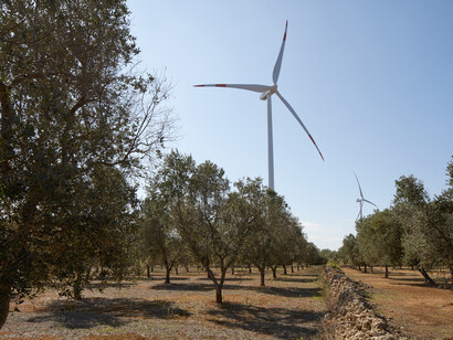 Palas eólicas entre los olivos en Apulia