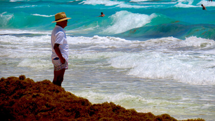 El sargazo invade Cancún