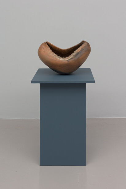 Adebunmi Gbadebo, Mary weeks bryant, 2025. Courtesy of Nicola Vassell Gallery. Photo by Lance Brewer