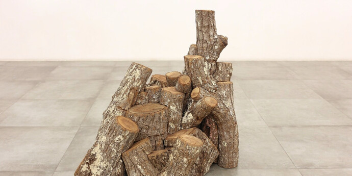 Marcelo Zocchio. Courtesy of Bolsa de Arte